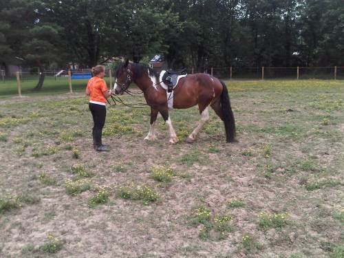 Milford-20110621-00039