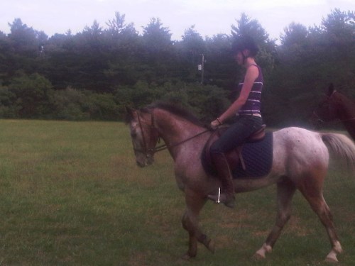 West_rockhill-20110613-00034