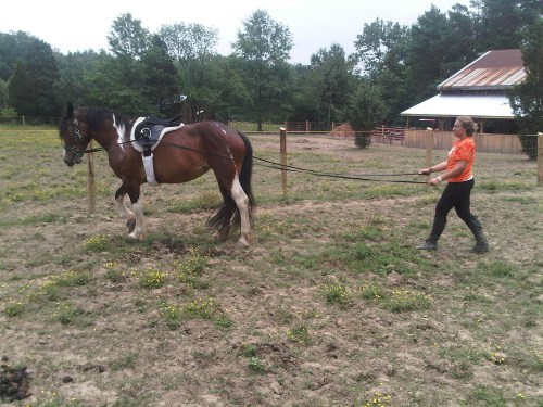 West_rockhill-20110621-00042