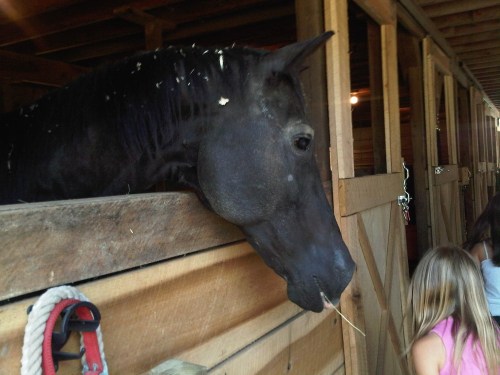 Milford-20110701-00085