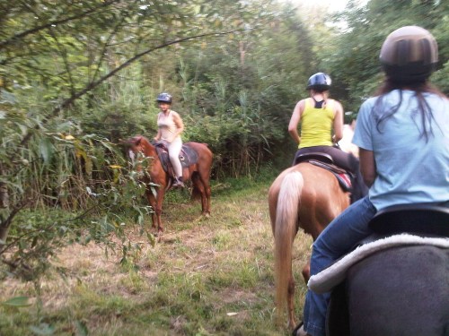 Richland-20110703-00094