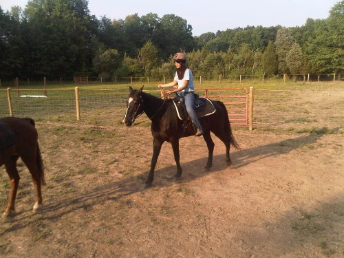 West_rockhill-20110703-00090