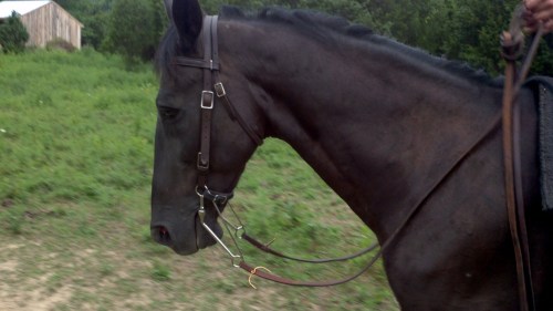 2011-08-13_17-10-26_852