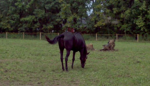 2011-09-10_13-14-19_547