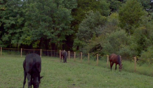 2011-09-10_13-14-43_302