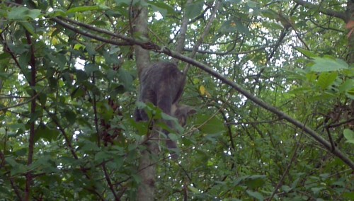 2011-09-11_10-12-47_934