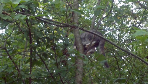 2011-09-11_10-13-25_102