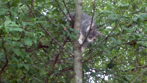 2011-09-11_10-13-31_702