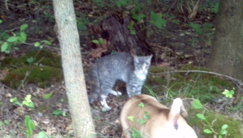 2011-09-11_10-13-44_762