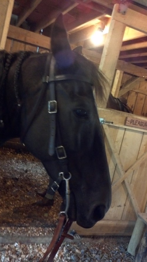 2011-09-11_13-28-29_329