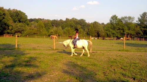 2011-09-13_17-13-13_779