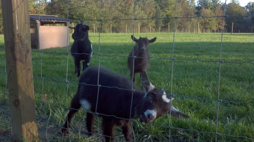 2011-10-09_17-36-24_143