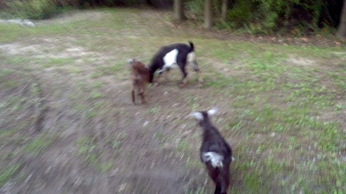 2011-10-09_17-47-36_290