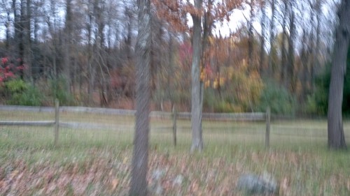 2011-10-28_17-27-44_170