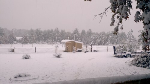 2011-10-29_15-18-56_693