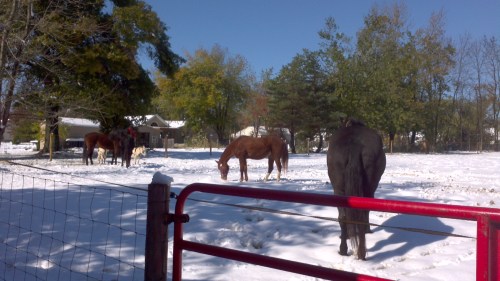 2011-10-30_13-00-31_612