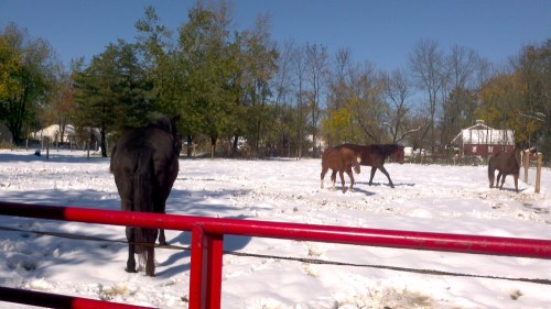 2011-10-30_13-00-44_971