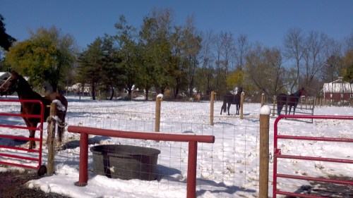 2011-10-30_13-03-05_223