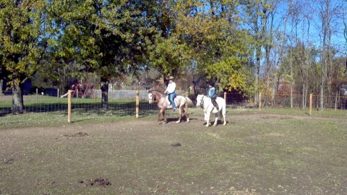 2011-11-05_10-34-30_92