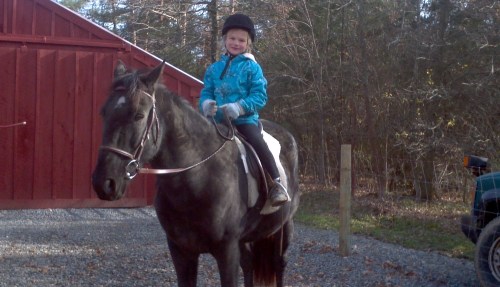 2011-11-19_11-38-56_847