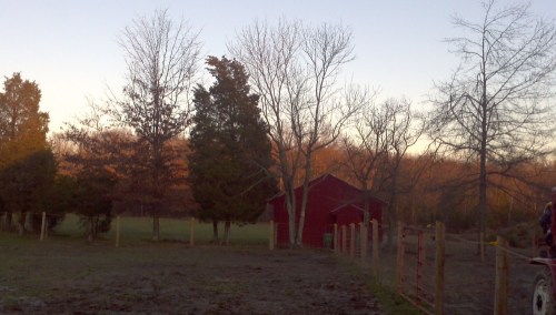 2011-11-24_16-19-45_627