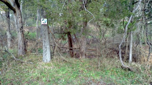 2011-11-27_11-07-47_262