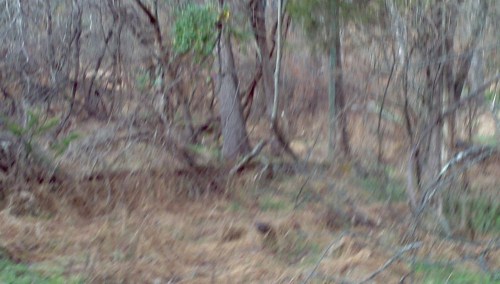 2011-11-27_11-08-11_82