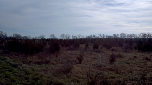 2011-11-27_11-27-12_567