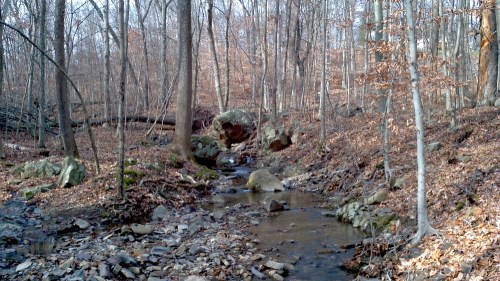 2011-11-27_12-21-24_0