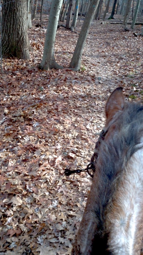 2011-11-27_12-53-16_638