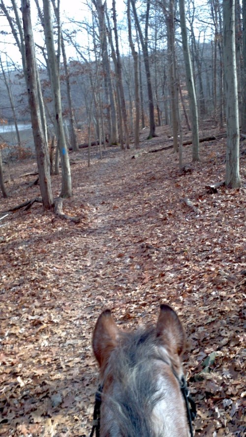 2011-11-27_12-53-20_604