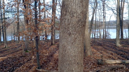 2011-11-27_12-57-39_32