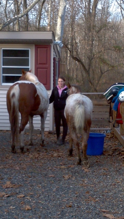 2011-11-27_15-06-29_551