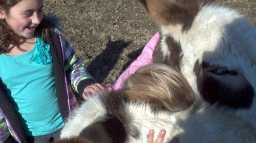 2012-01-07_12-00-38_241