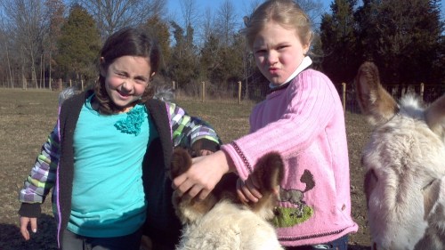 2012-01-07_12-01-24_942