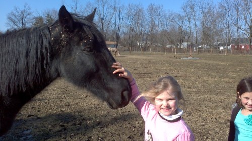 2012-01-07_12-01-50_197