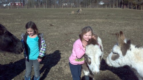 2012-01-07_12-01-58_114