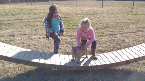 2012-01-07_12-24-43_295