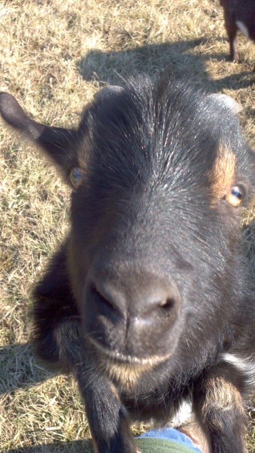 2012-01-07_12-24-49_685