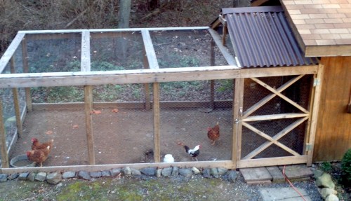 2012-01-10_16-04-14_661