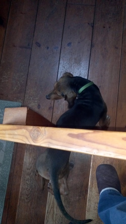 2012-01-16_16-01-29_16