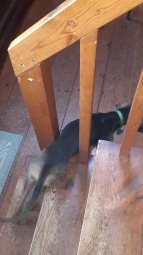 2012-01-16_16-01-37_178