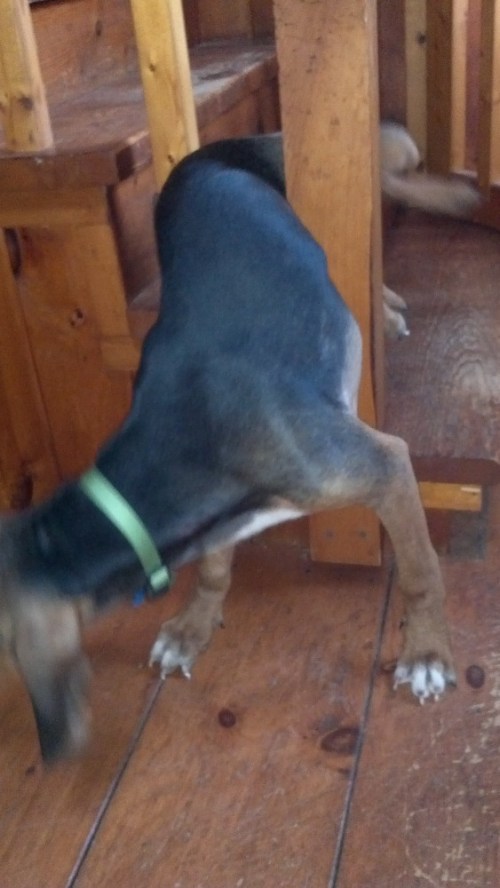 2012-01-16_16-01-46_815