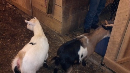 2012-01-23_17-31-08_814