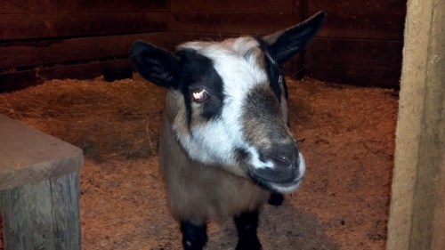 2012-01-23_17-32-56_763