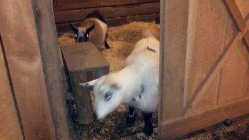 2012-01-23_17-34-48_545