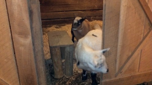 2012-01-23_17-35-05_363