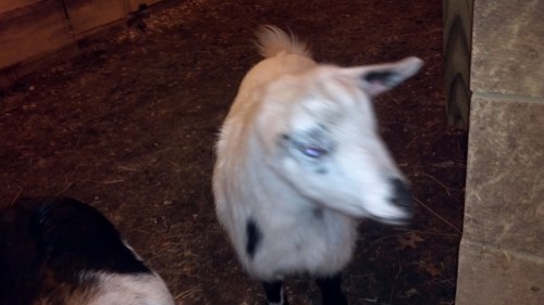 2012-01-23_17-35-47_259