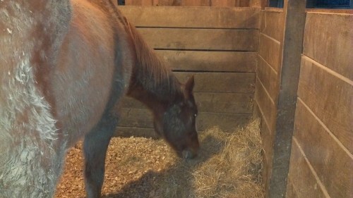 2012-02-01_17-18-04_251