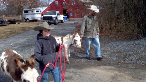 2012-02-19_12-49-13_924